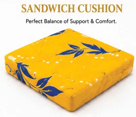 Sandwich Cushion